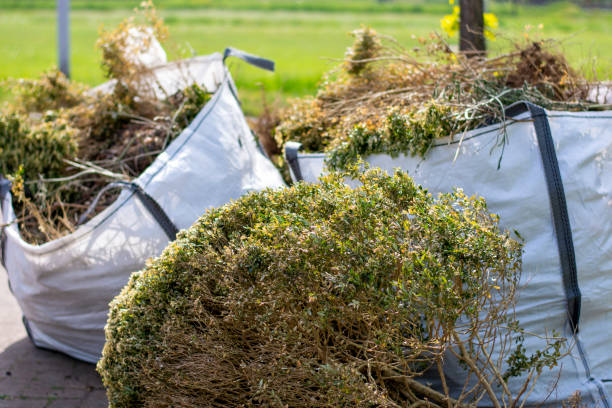 Debris Removal in Boiling Springs, PA